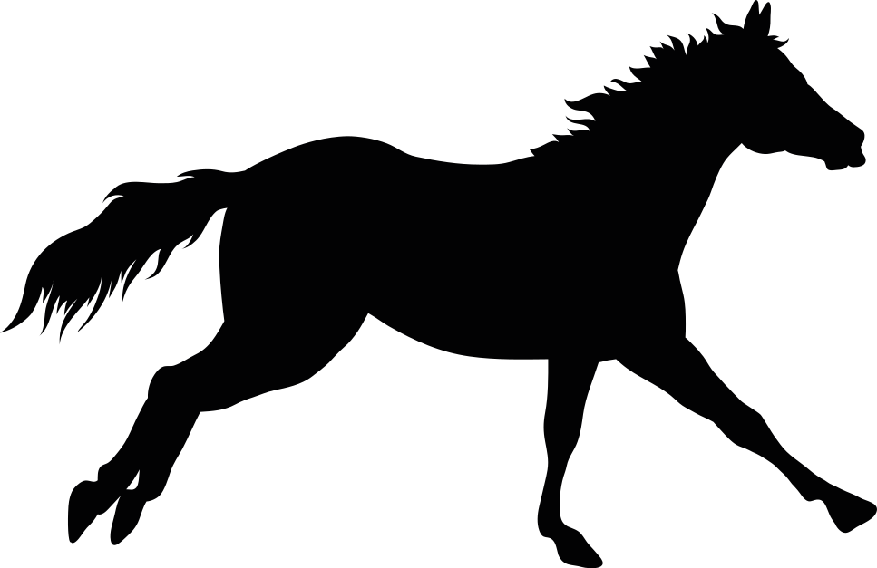 Running horse wallpaper sticker TenStickers