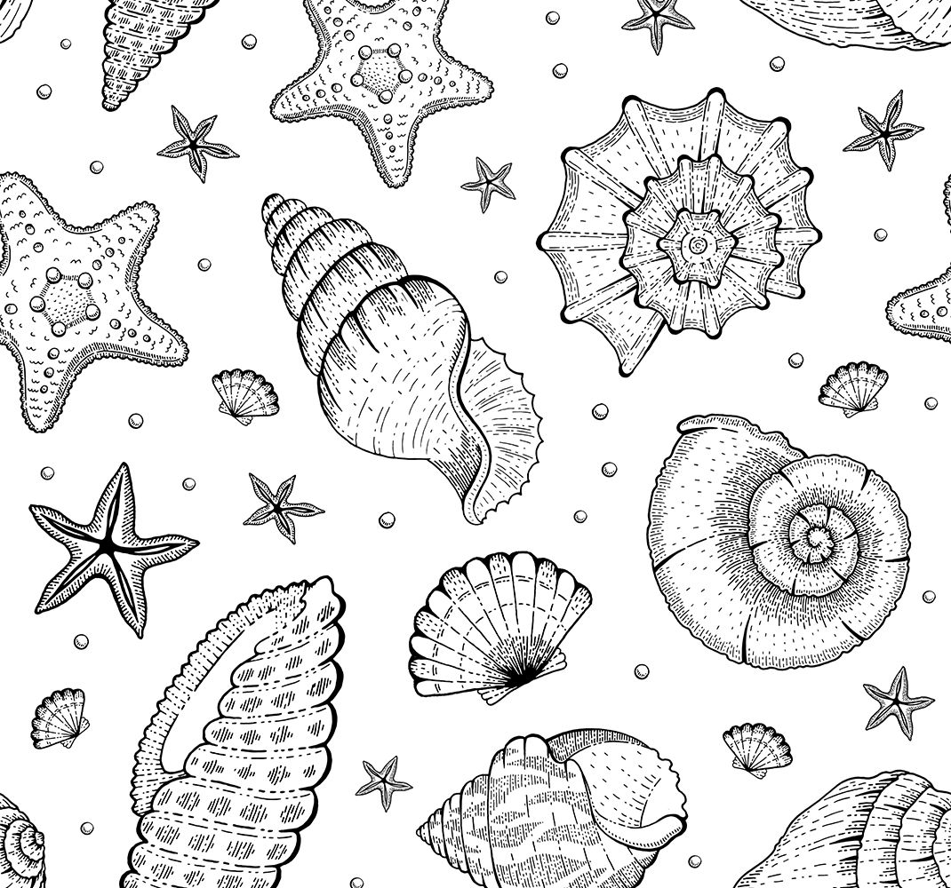 Sea Shell Patterns nature wallpaper