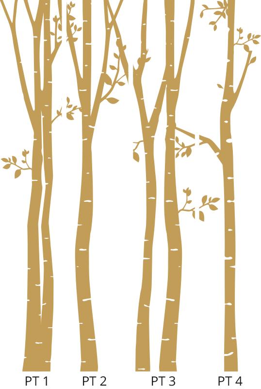 Birch tree in "New nostalgia style" palm tree wallpaper TenStickers