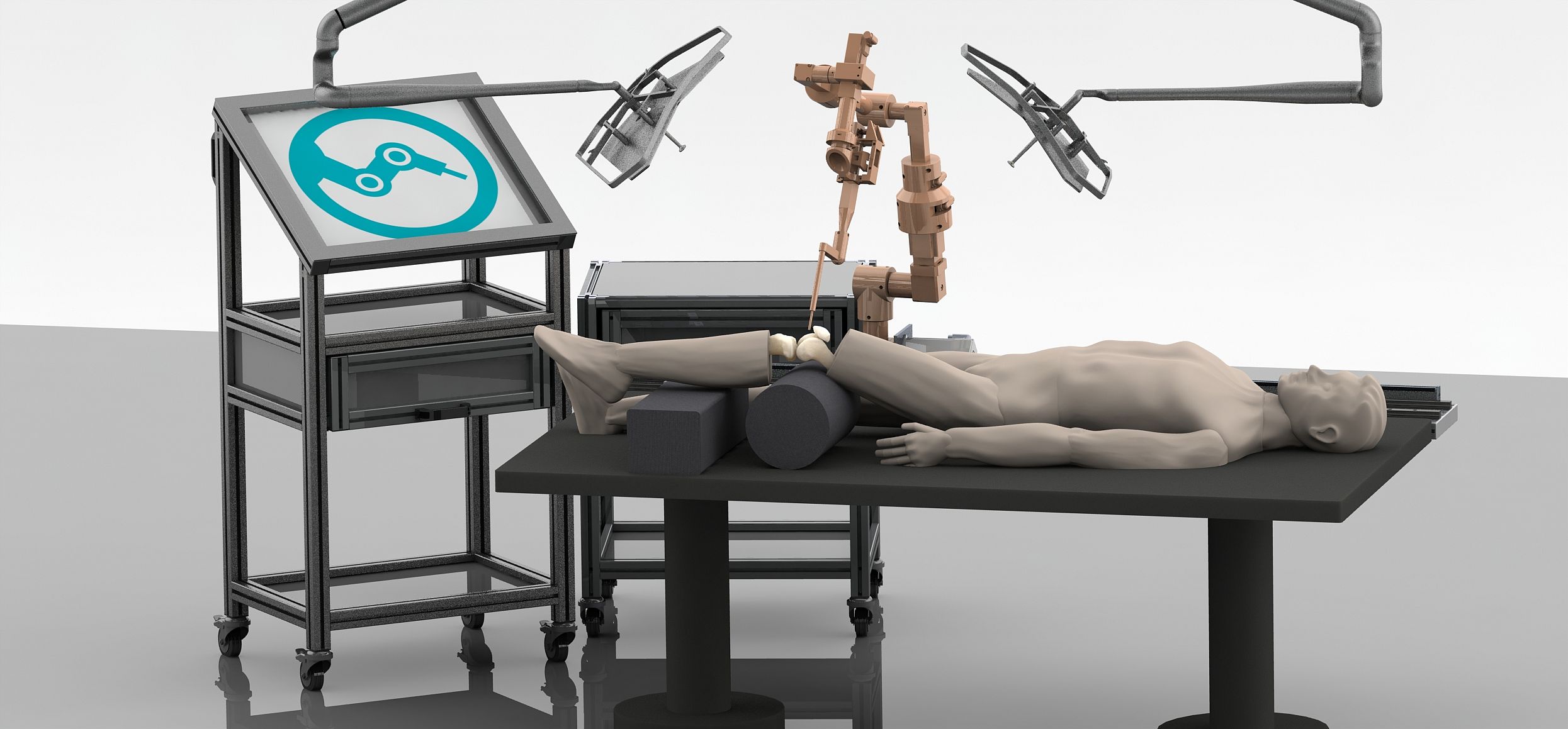 BioInspired Robots for MedicineLab Department of Biomedical Engineering