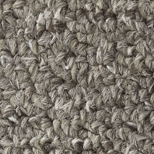 Professional Carpet Cleaning Services Baton Rouge NOLA