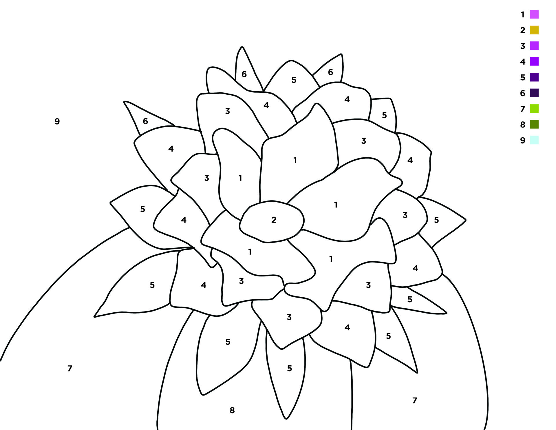 Activity Paint By Number Desert Botanical Garden