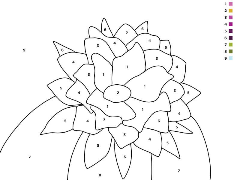 Activity Paint By Number Desert Botanical Garden Activity Paint By Number Desert Botanical Garden