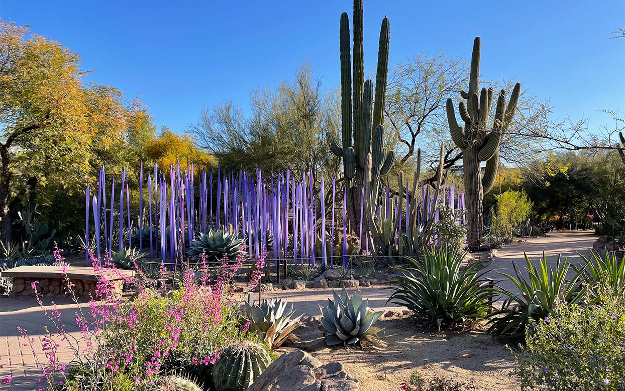 Five things to do at the Garden this Spring Desert Botanical Garden