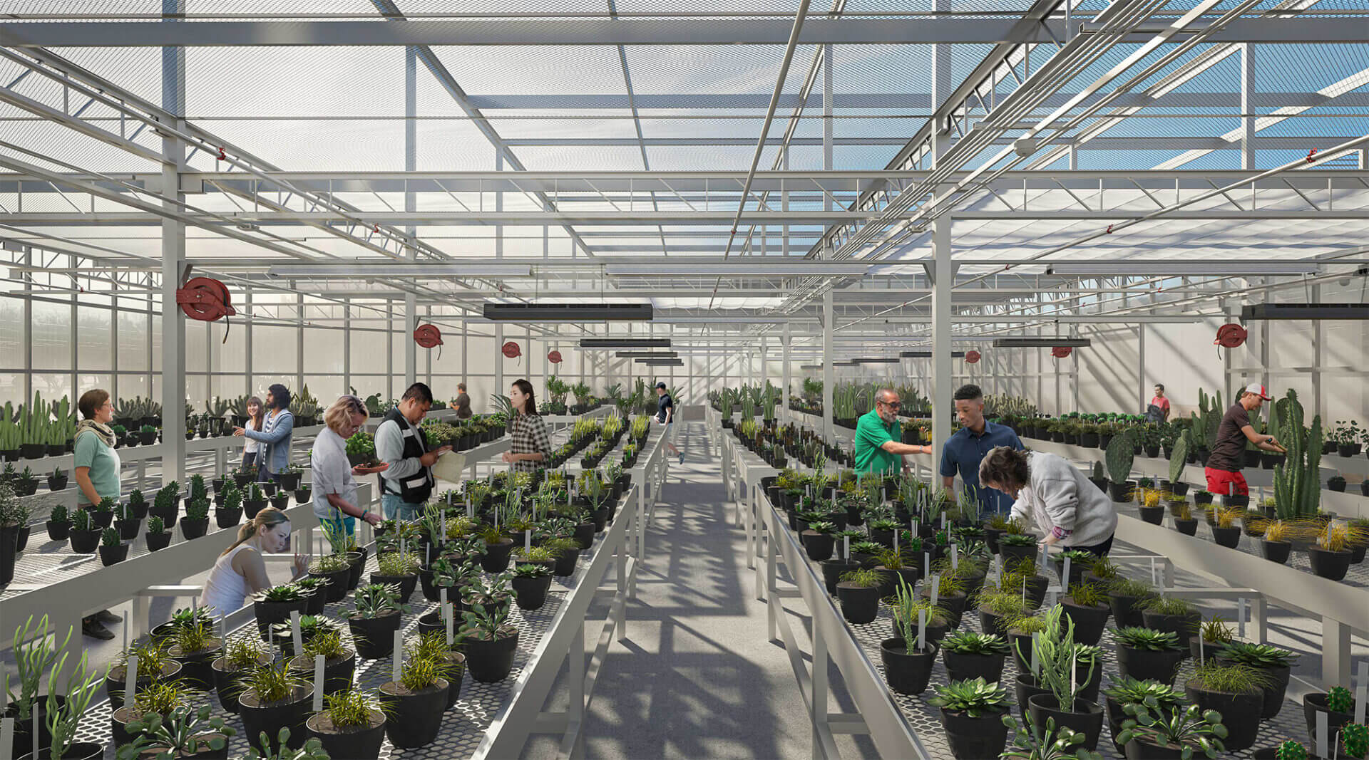 Desert Botanical Garden Plants Coming Soon Hazel Hare Center for