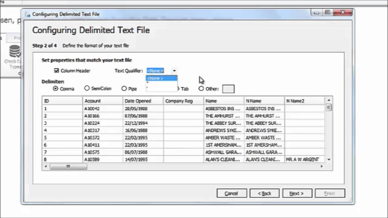 Acuate Data Profiling DBMS Tools