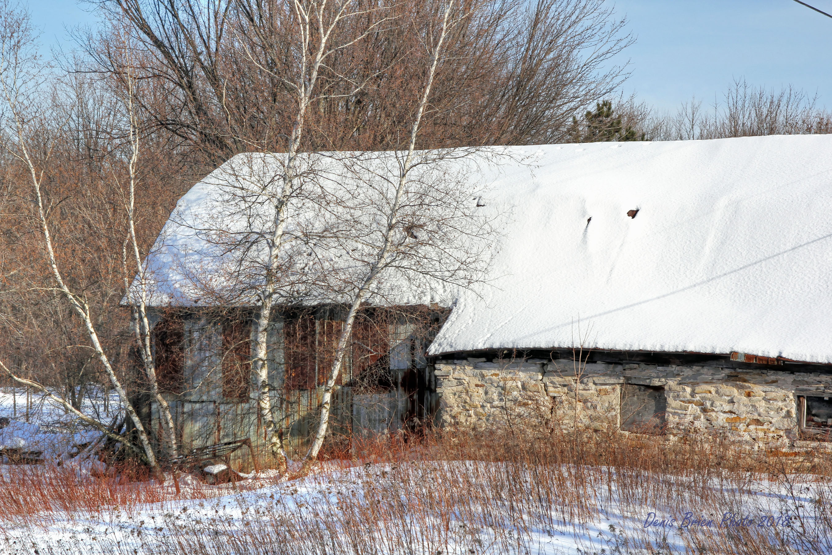Hinchinbrooke Denis Brien photographe