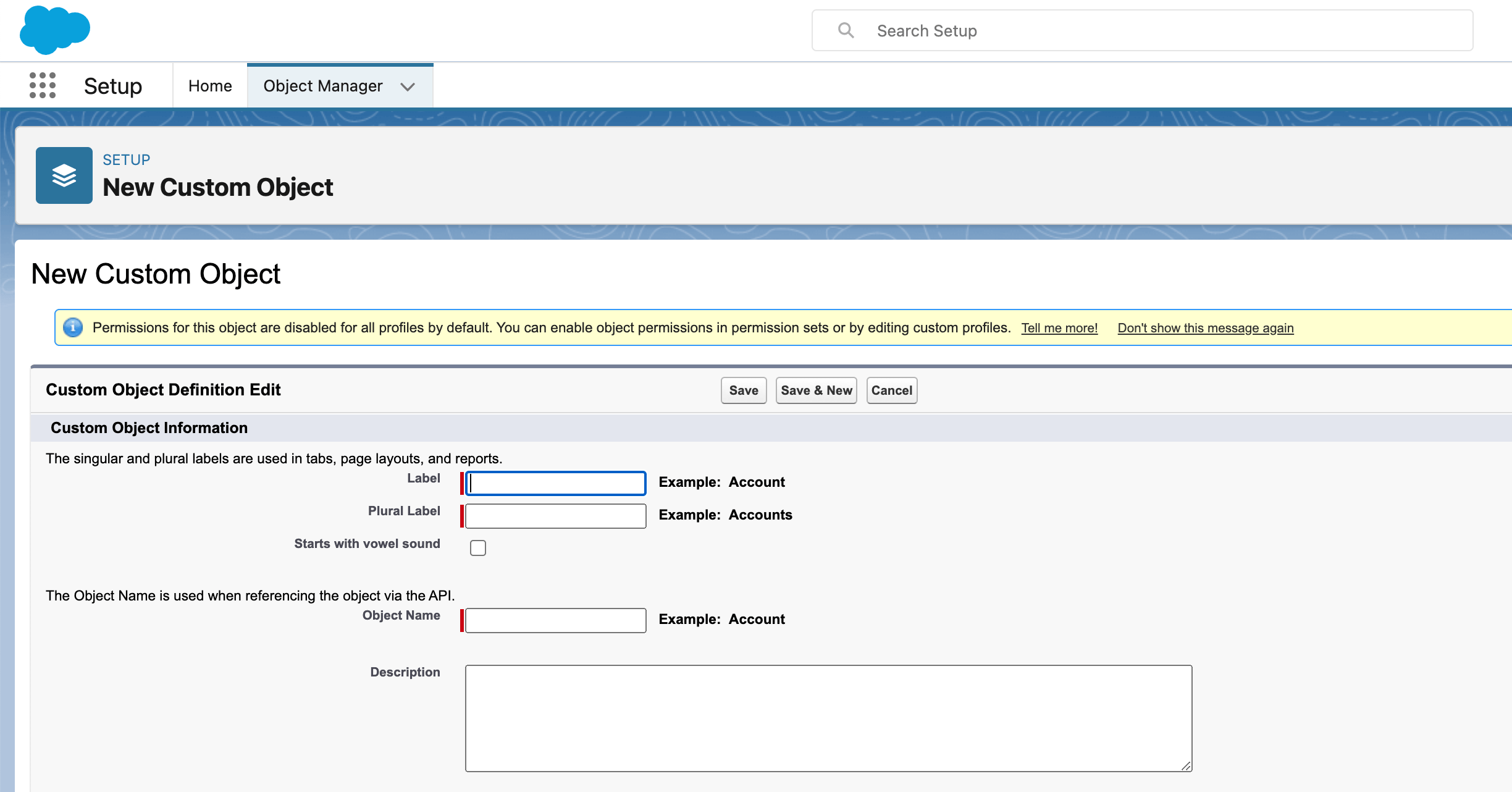 Salesforce Custom Objects DB Services