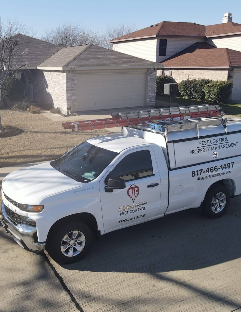 D'Bug Man Pest Control Arlington TX