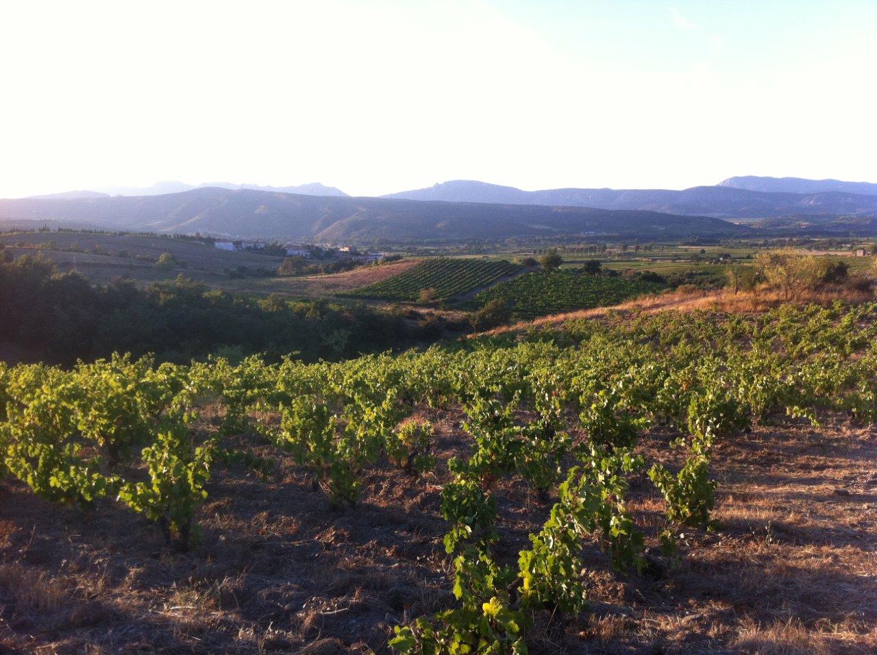 Domaine Roc des Anges D.B. Wine Selection Inc