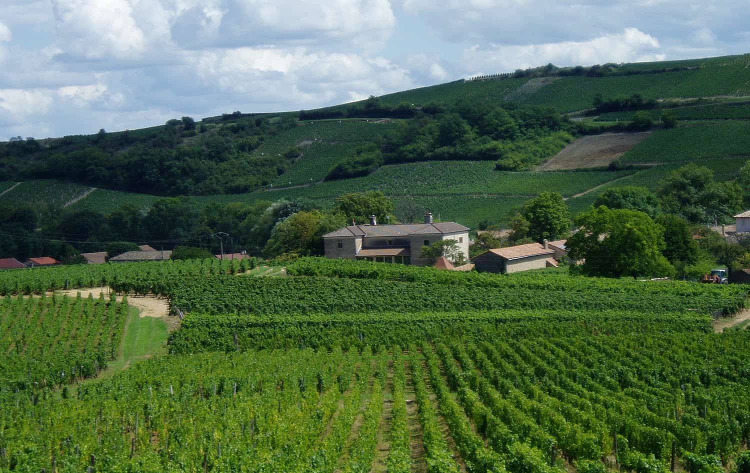 Domaine La Soufrandise D.B. Wine Selection Inc