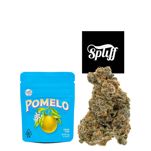 Official Cookies Pomelo • Spliff Nation Dispensary