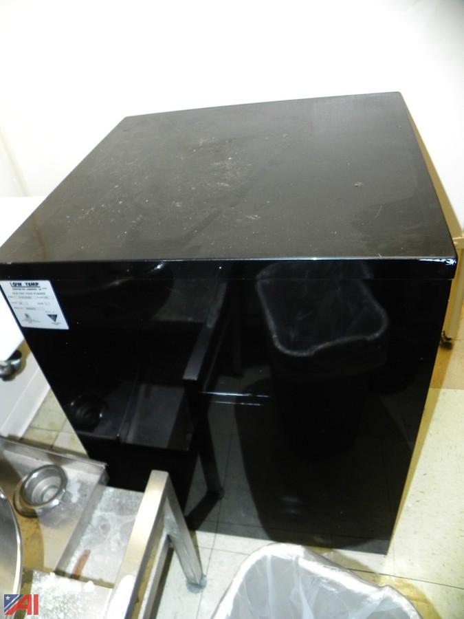 Auctions International Auction Lakeland CSDNY 20368 ITEM Low Temp