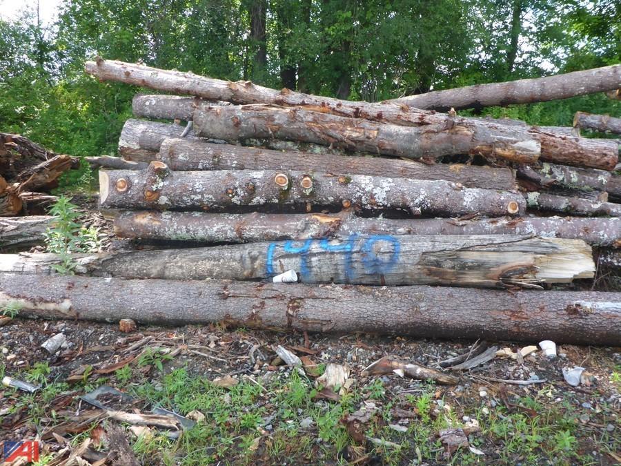 Auctions International Auction Saratoga County, NY 14847 ITEM