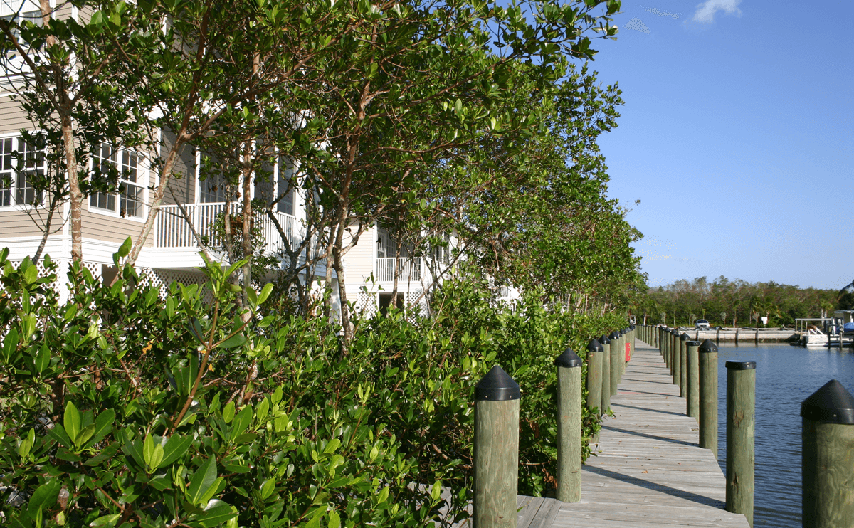 Calusa Island Village Dyehouse Comeriato Architect