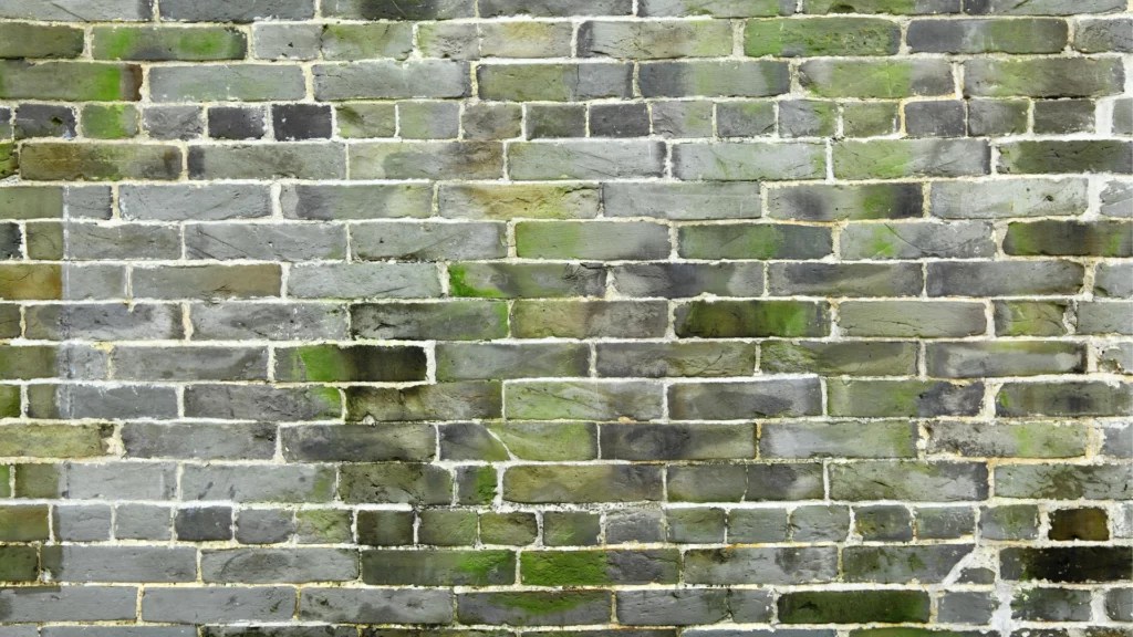 How Do You Clean 100YearOld Bricks?