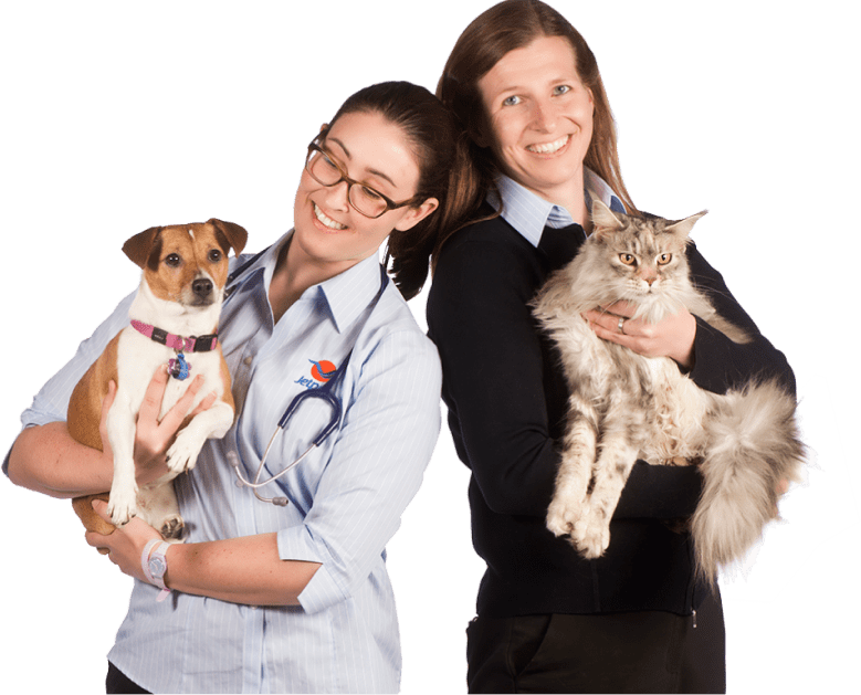 Let Us Call You Back! DCC Animal Hospital