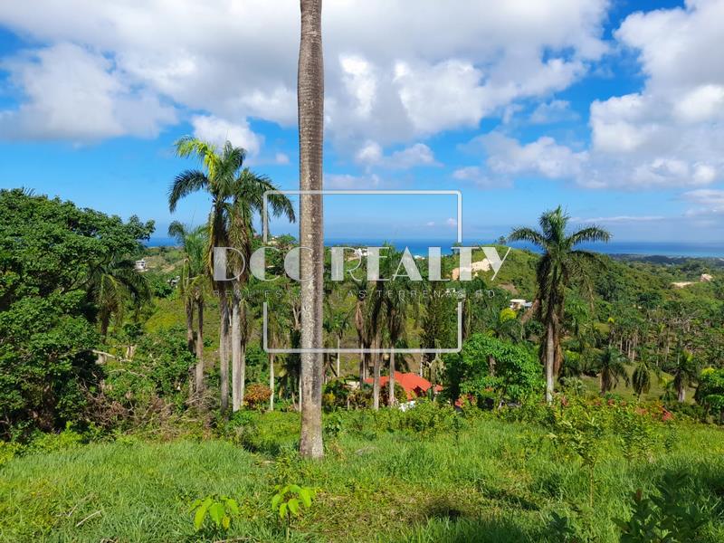 Réf VT 120 LAND ON THE HILL WITH OCEAN VIEW