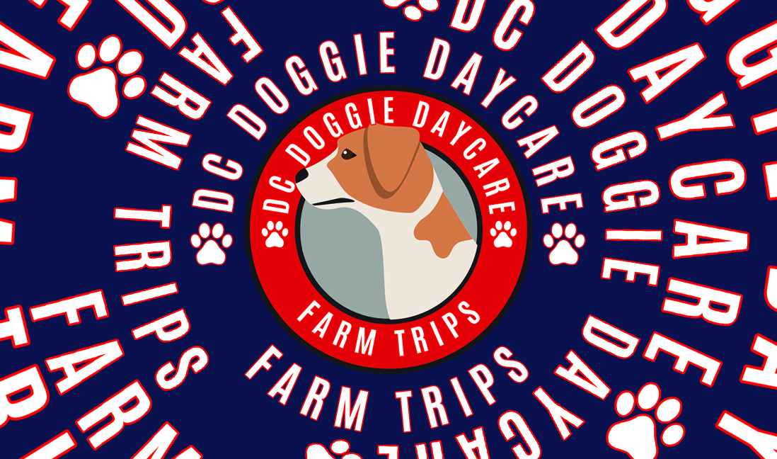 Is it right for your dog? DC Doggie Daycare Farm Trips