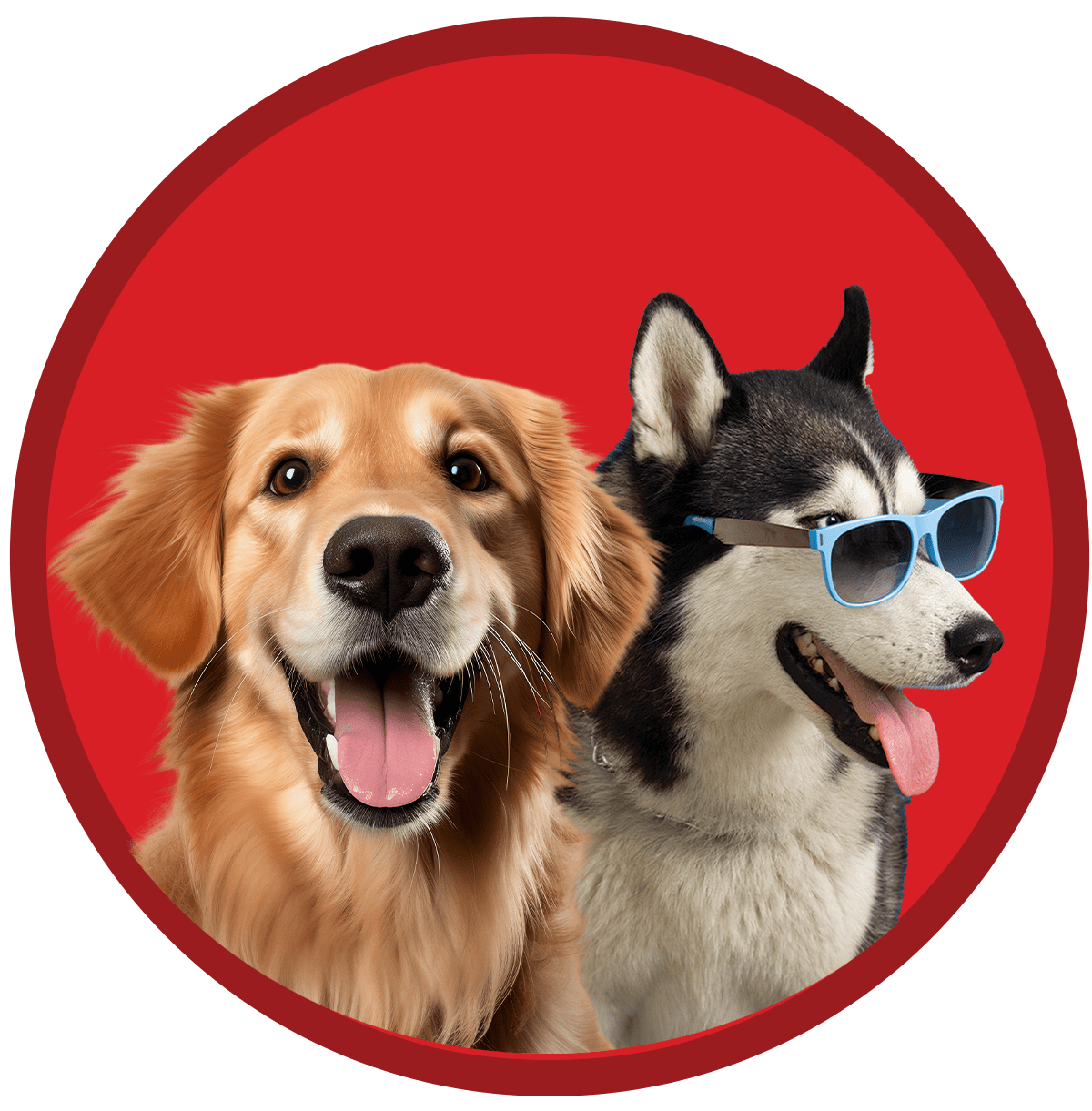 Delaware Canines DC Doggie Daycare