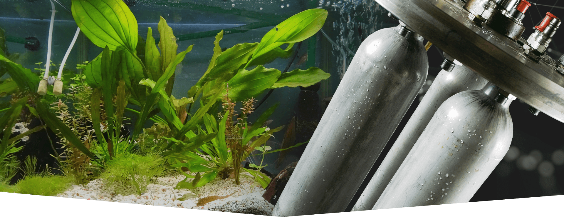 Aluminium Bottles, Aquarium CO2 Cylinders, Paintball Cylinder, Gas