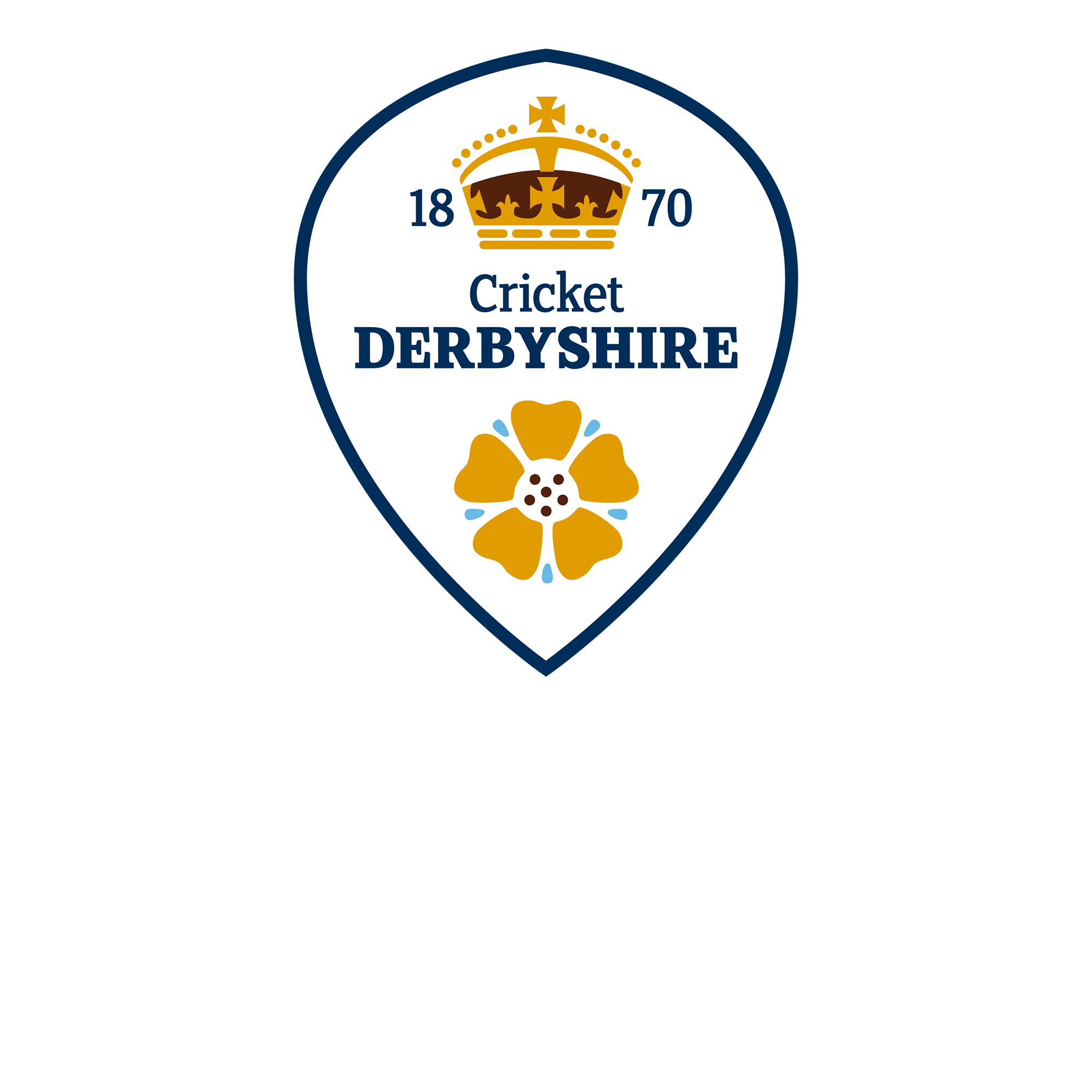 DCF OPEN AGE CRICKET SURVEY! Derbyshire Cricket Foundation
