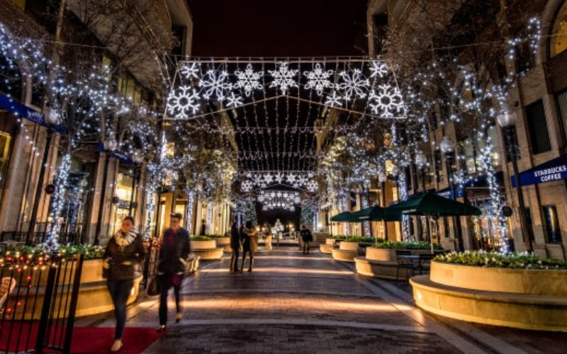 Photo Cred Enlightened Landscape Lights DC Fray