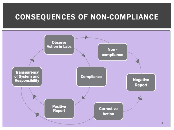 Constructing Consequences for ACS Division of Chemical