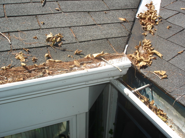 FloFree Leaf GuardDCI Products