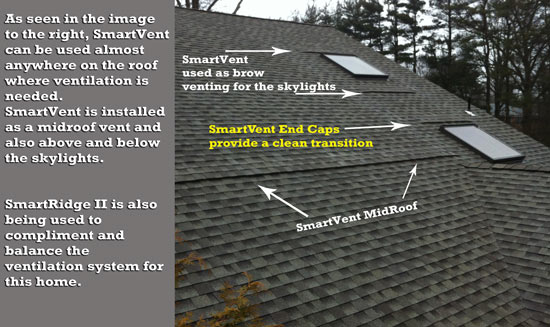Roofing Edge Vent & Turtle Vents