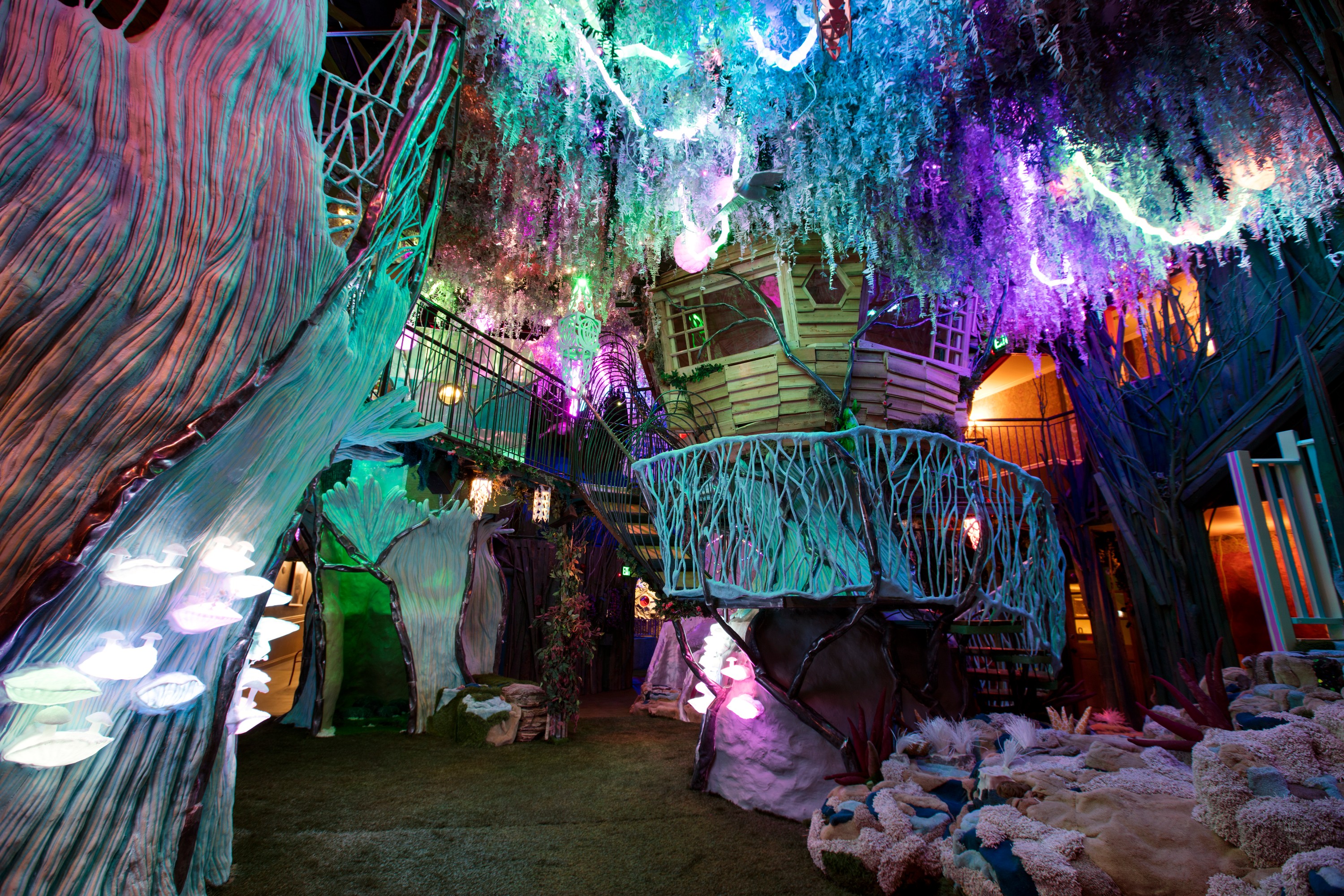 Psychedelic Art Exhibit Meow Wolf Not Coming To Fort Totten DCist