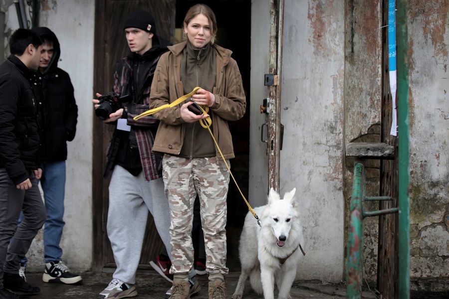 Ukrainian Stray Dogs and Cats Threaten Europe With Rabies DC Journal