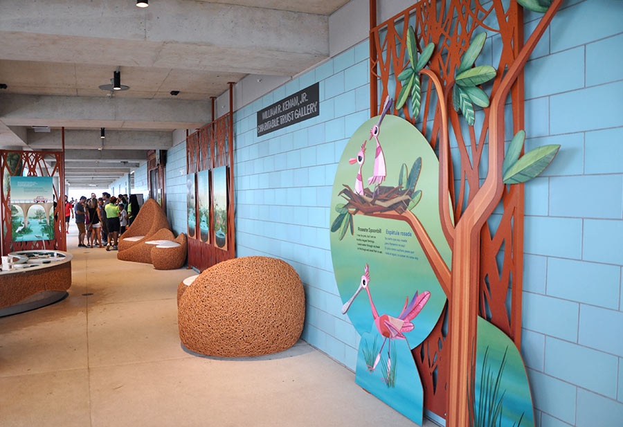 Frost Science Museum DCL