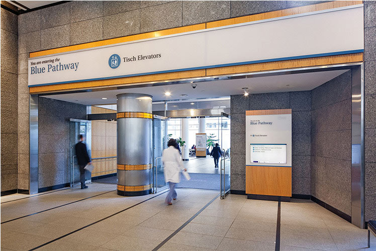 NYU Langone Health DCL