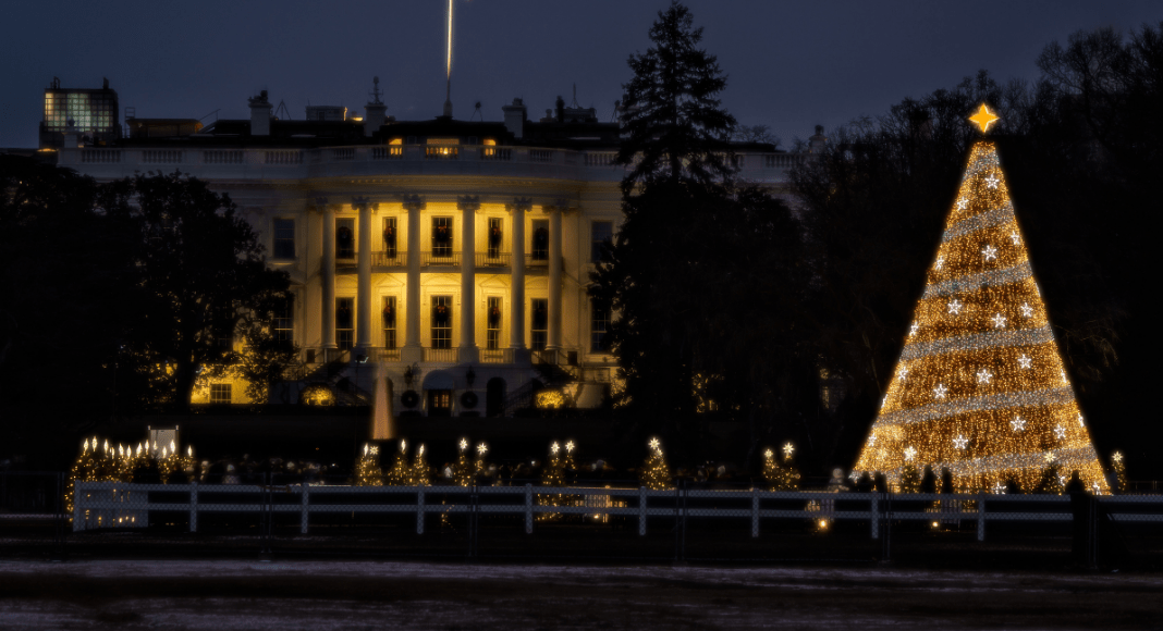 Christmas Tree Lighting Guide 2023