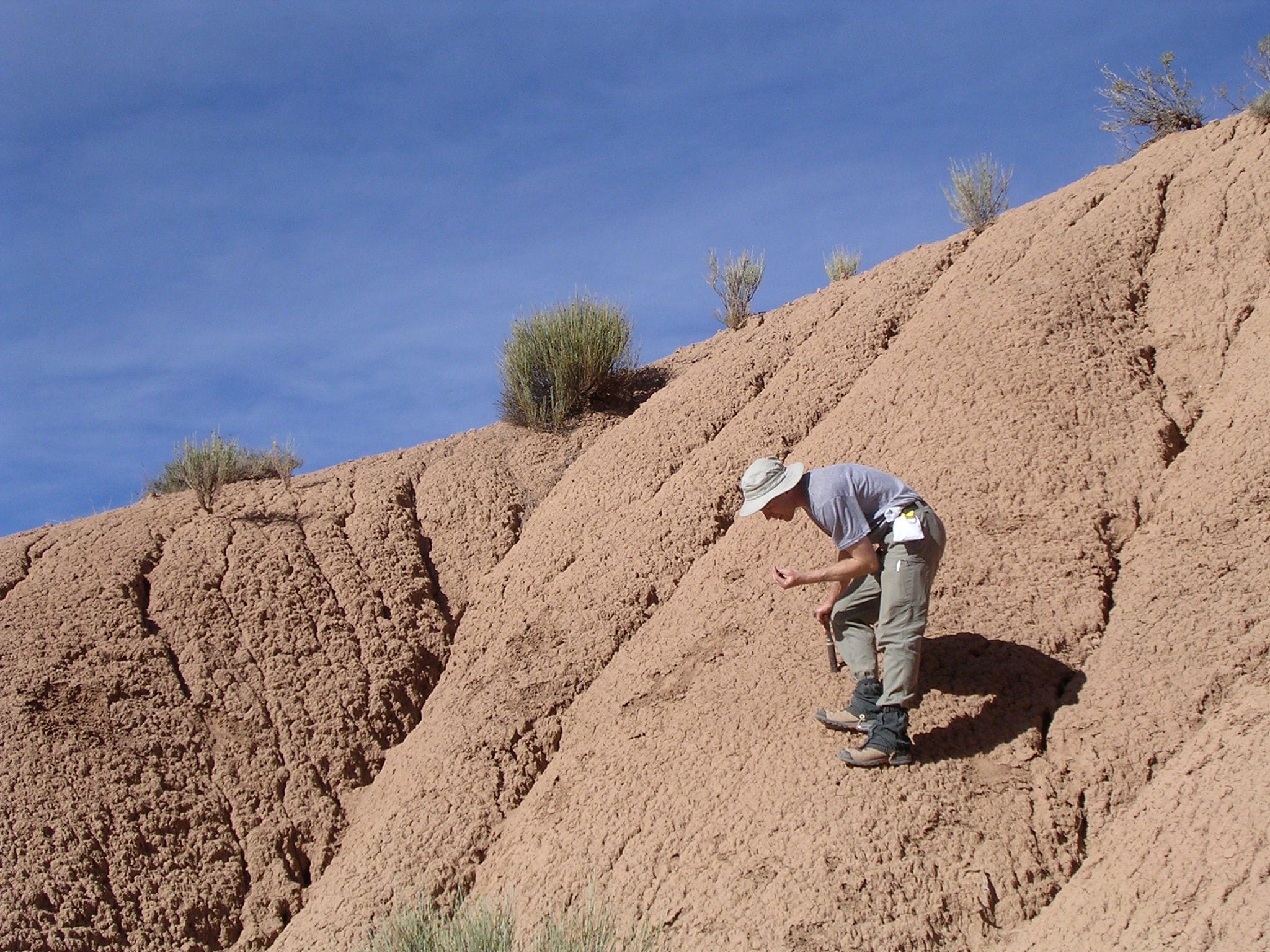 Digging for Fossils Darin A. Croft, PhD