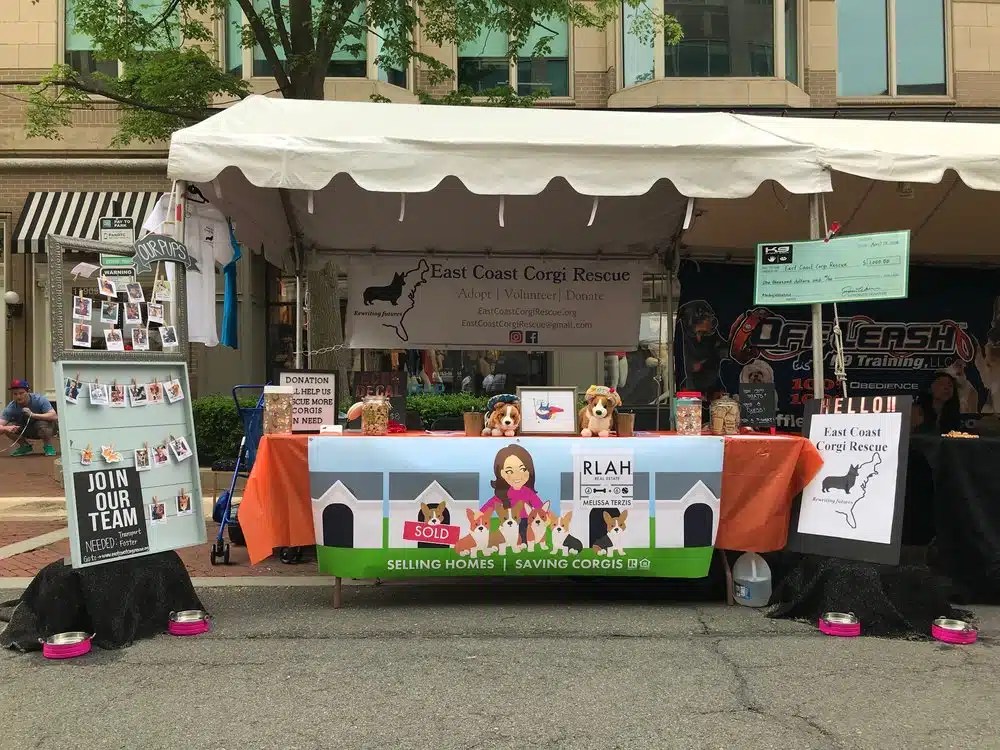 I'm Better at Real Estate DC Real Estate Mama