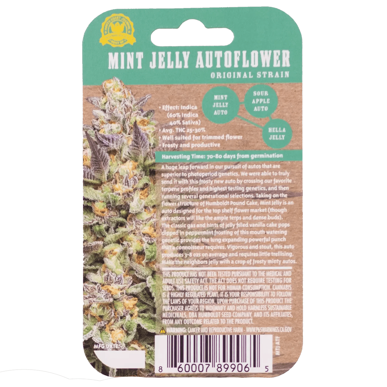 Mint Jelly Auto 10 Feminized Autoflower Seeds DCSE