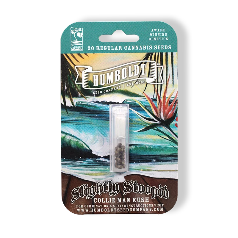 Collie Man Kush 20 Regular Seeds DCSE