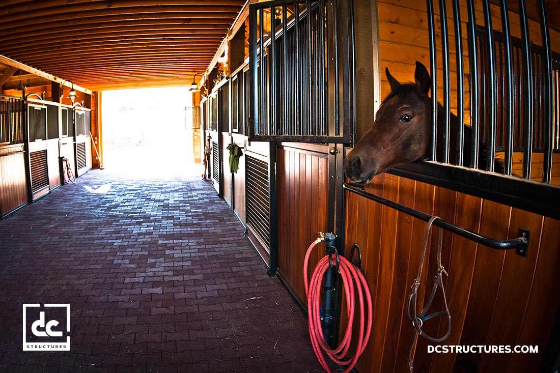 Best of Mane Street Horse Stall Showcase DC Structures Blog