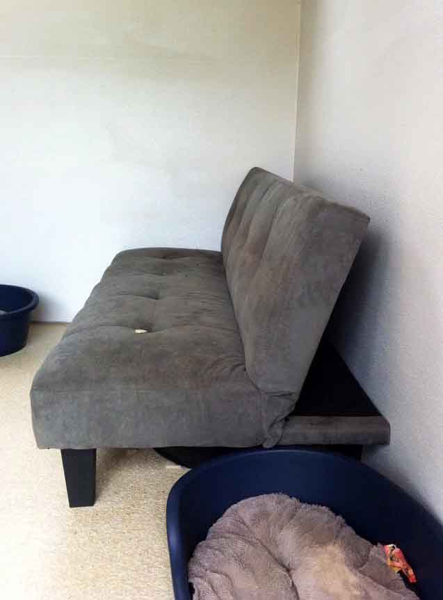 VERN RYAN PET RESORTS FRP WALL LINING OF PET RESORT ROOMS Dctech