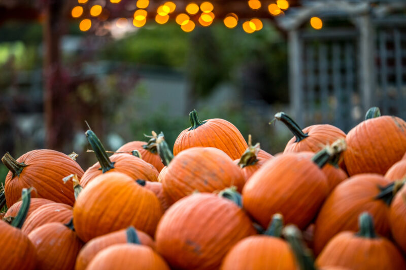 3 Great Fall Market Client Appreciation Events Ideas! Wade Vander