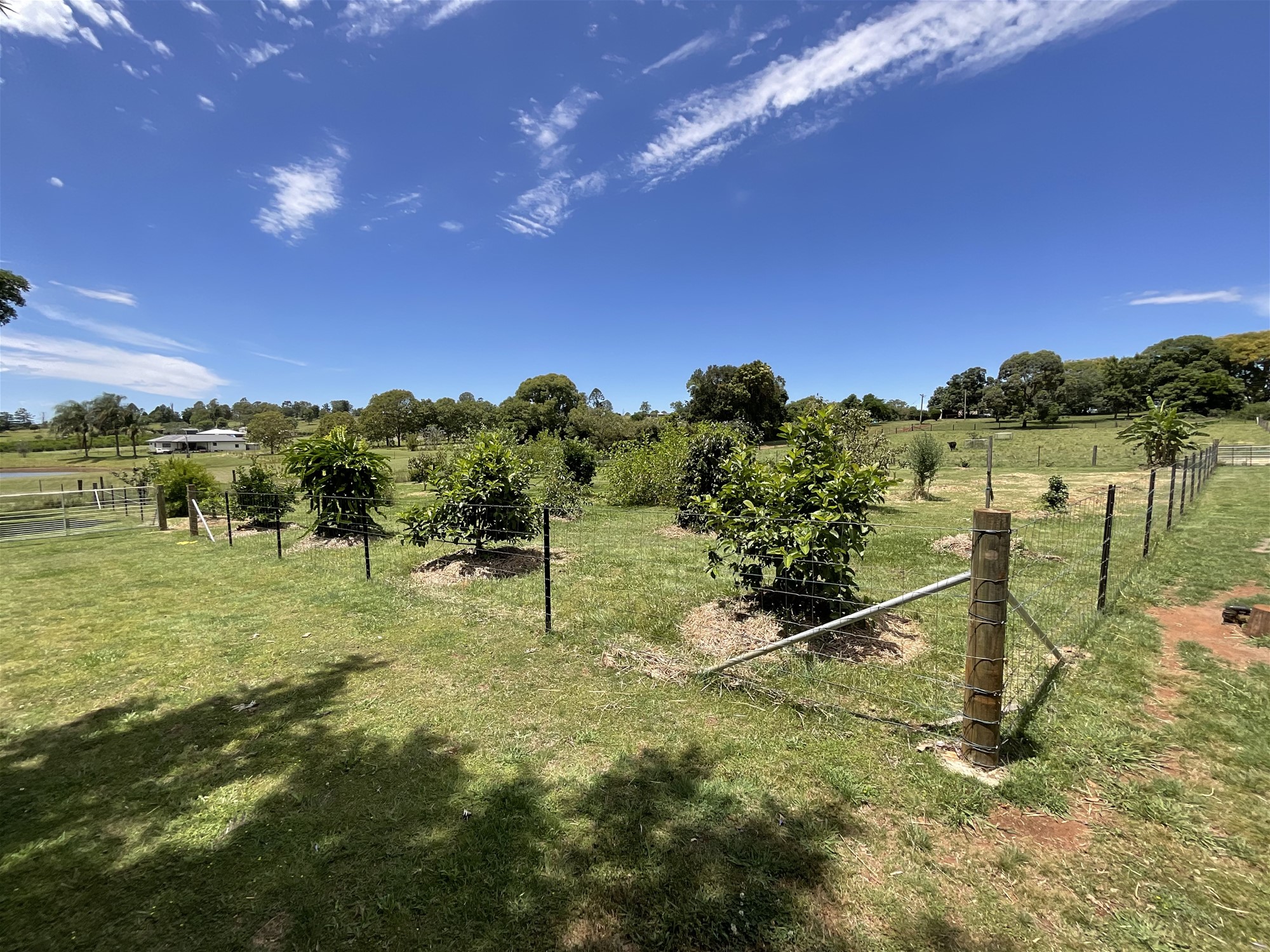 Real Estate for Sale in YARRAMAN