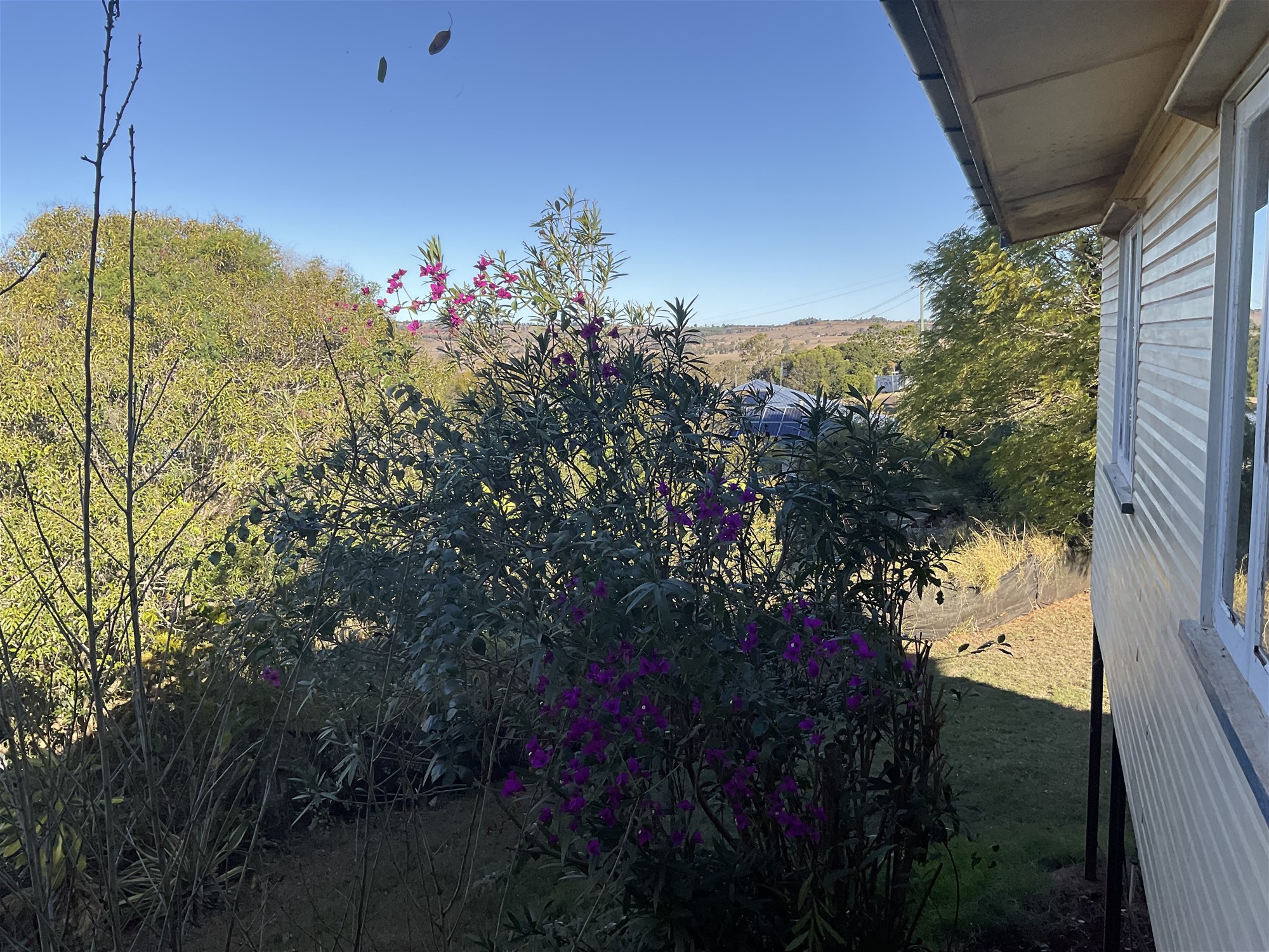 Real Estate for Sale in TINGOORA