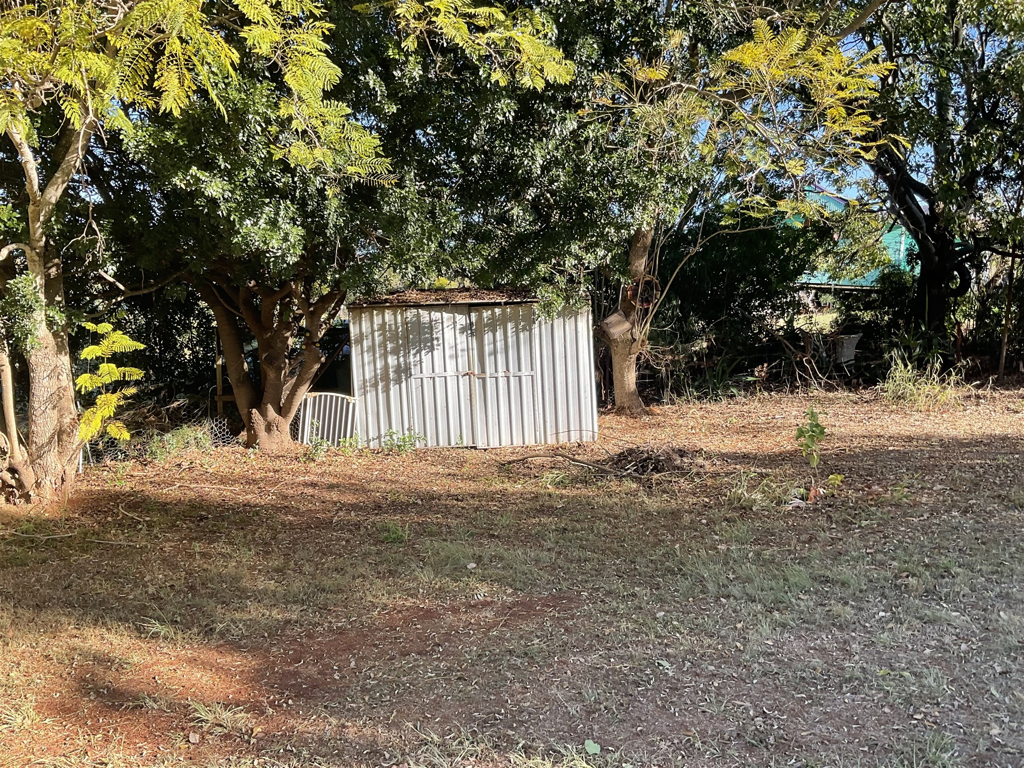 Real Estate for Sale in TINGOORA