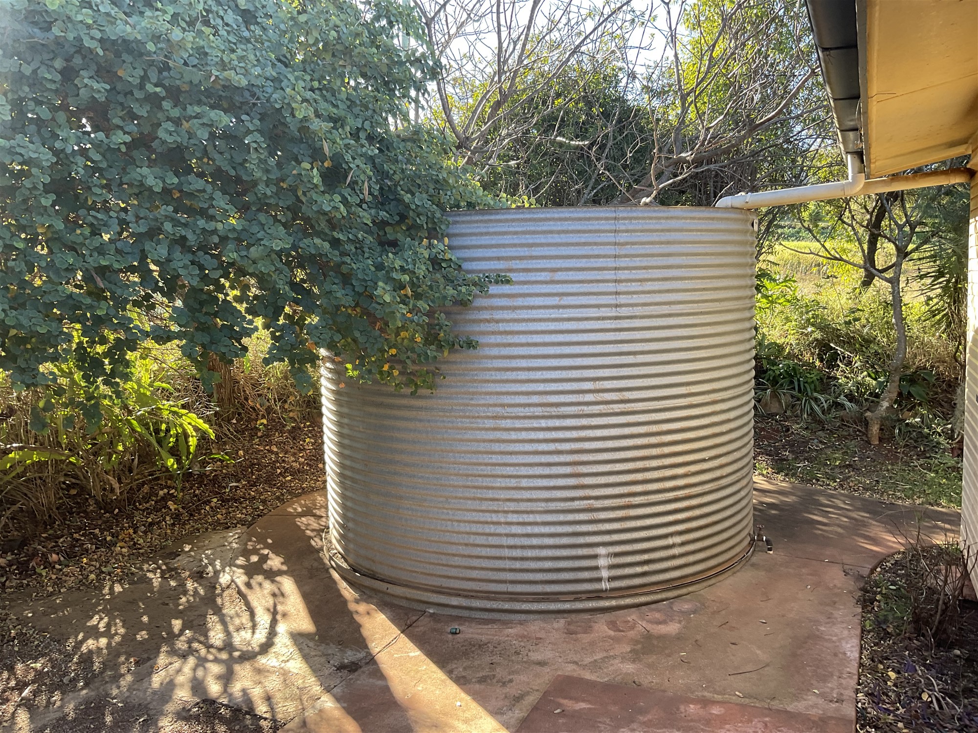 Real Estate for Sale in TINGOORA