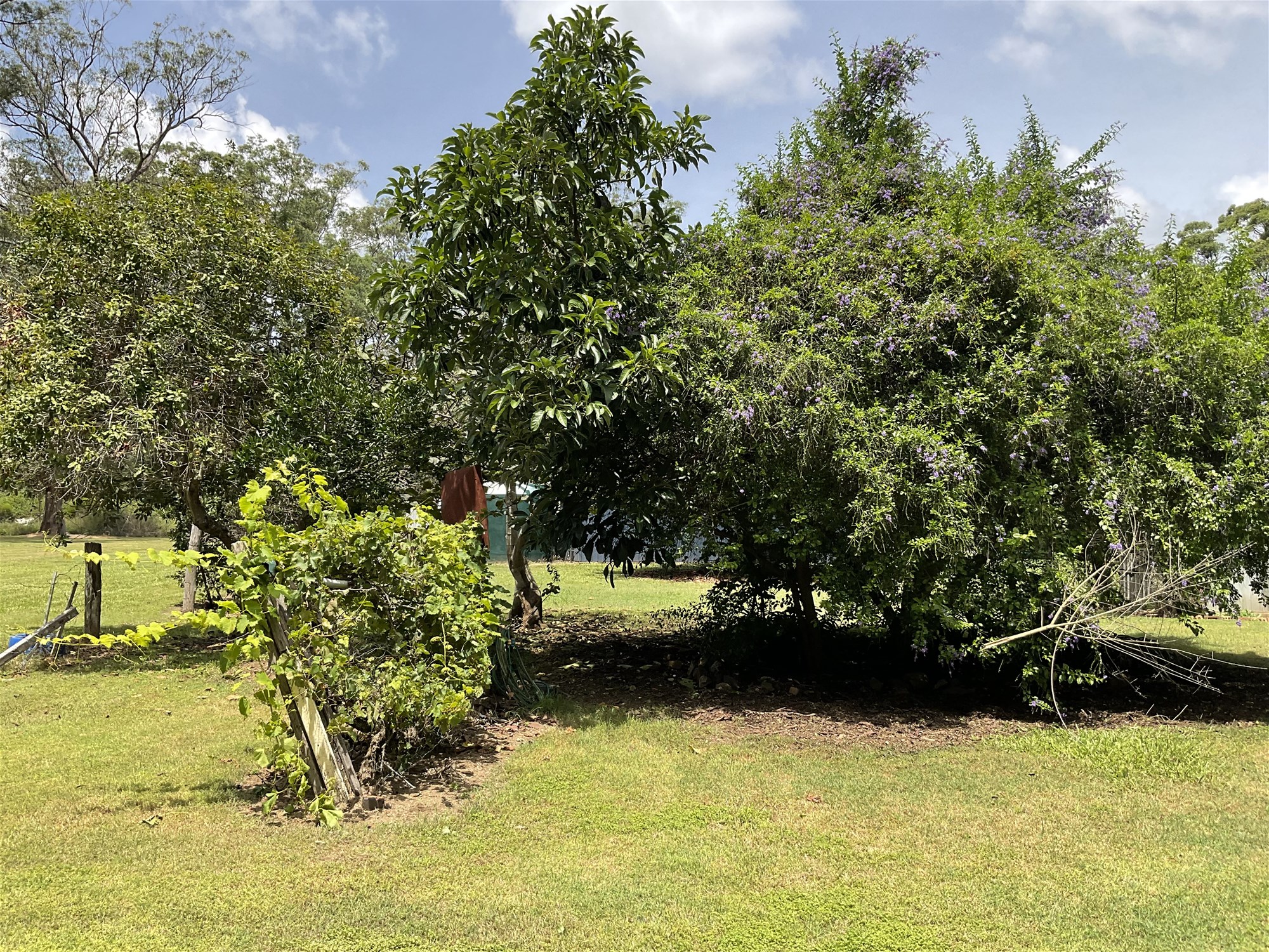 Real Estate for Sale in BENARKIN