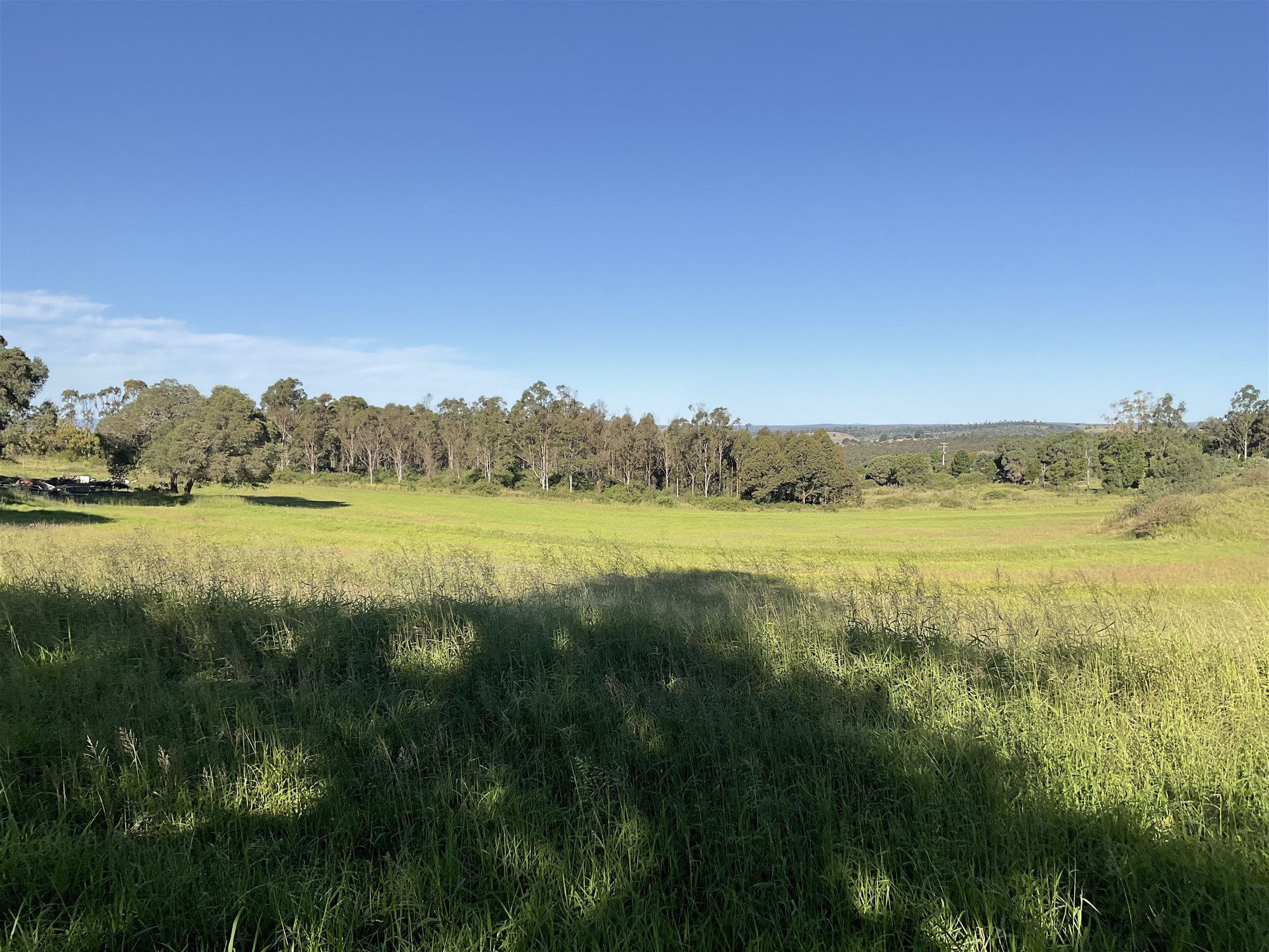 Real Estate for Sale in SOUTH NANANGO