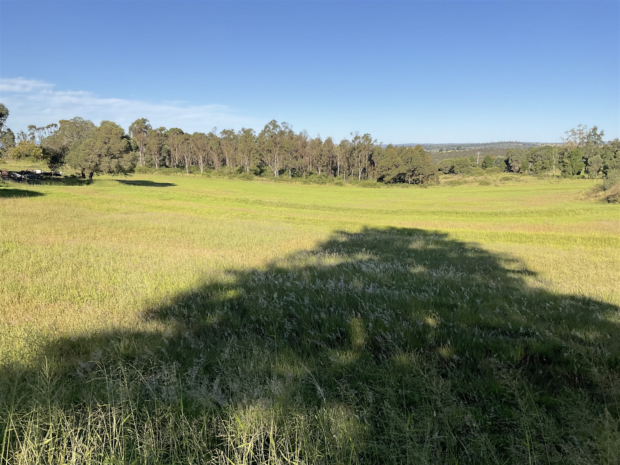 Real Estate for Sale in SOUTH NANANGO