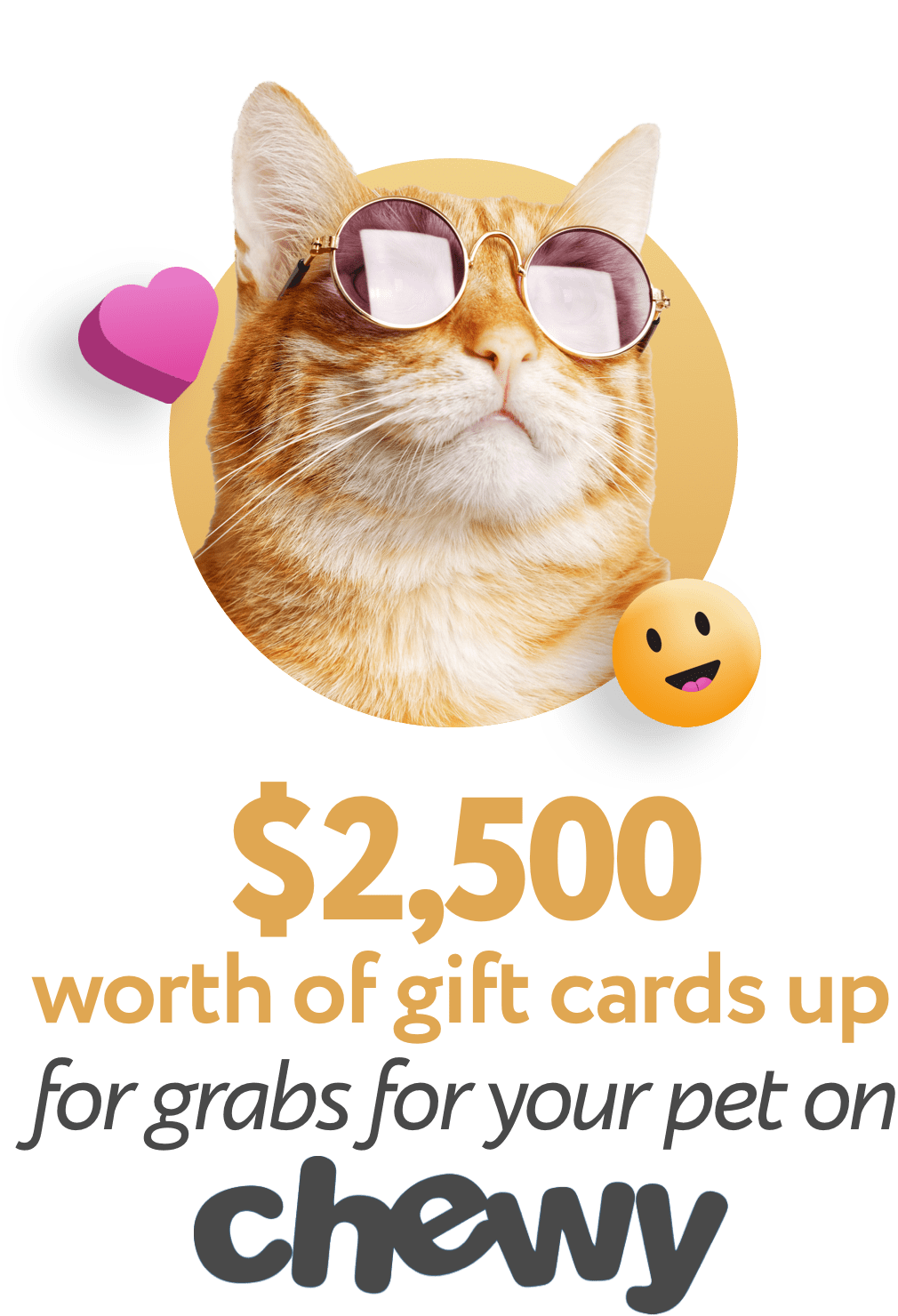 Yummypets 2,500 worth of gift cards up for grabs on Chewy!